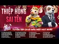 Lagu Em Viết Thiệp Hồng Tên Em Thì Đúng - Thiệp Hồng Sai Tên | Tuyển Tập Ca Sĩ Giấu Mặt Hot TikTok