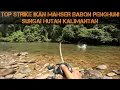Lagu RECAP STRIKE IKAN MAHSER MONSTER PENGHUNI SUNGAI ARUS DERAS