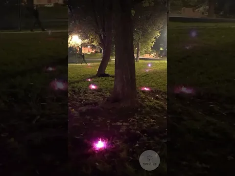 मैंने बनाई मेंढक वाली Diwali Light! 🐸🤯#Diwali2026 #diwali #decoration #lightshow #light