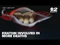 Kratom-related overdose deaths in Utah increase 40 over last five years