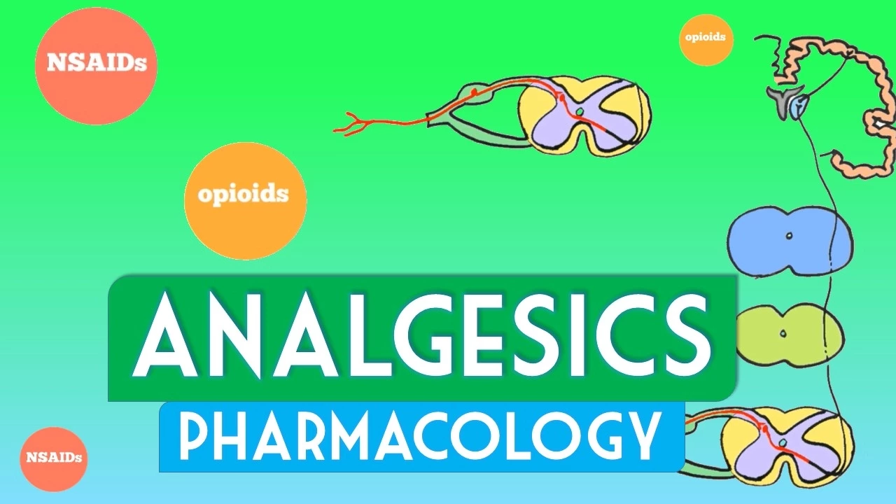 Analgesics pharmacology