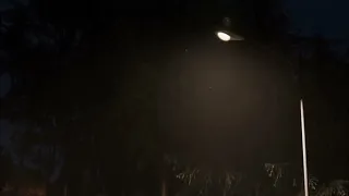 اغنية روسية رومانسيه بطي 