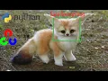 Real-time face recognition project on raspberry PI Opencv 3 4 Python tutorial for beginners