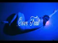 Download Lagu Pixel Grip - Crow's Feast (Official Lyric Video)