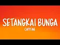 Download Lagu Caffeine - Setangkai Bunga (Lirik Lagu)
