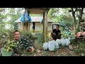 Download Lagu Thăm lại vườn đồi và thu hoạch, cuộc sống tự nhiên