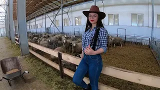 Harvest Queen on Wheels 🚜 Farming Agricultural Machinery | Farm Life Magic