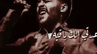 احمد كامل دندنها