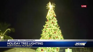 Christmas tree lighting ceremony on Palm Beach