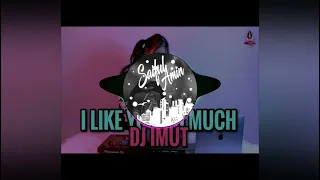 Download TIK TOK VIRAL I LIKE YOU SO MUCH (DJ IMUT) MP3