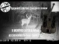 Spypoint Link Evo Complete Review - 9 months later