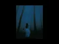 Harsh Symmetry - Mirror Twin (Slowed and Reverb)