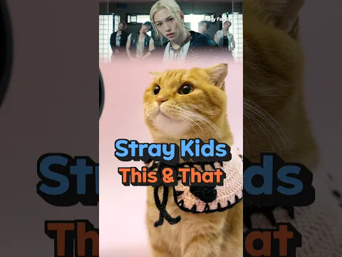 베니의 Stray Kids(스트레이 키즈) "This & That" cover by Benny the Cat #shorts