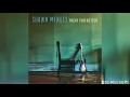 Download Lagu Shawn Mendes - Treat You Better (Acoustic Version)