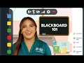NAVIGATING ONLINE CLASSES ON BLACKBOARD