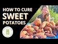 How to Cure Sweet Potatoes 3 Ways