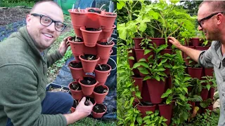 Greenstalk vs Dollar Tree Planters Ultimate Budget Comparison