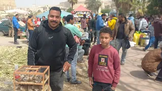 الناس اشترت عصافير ايه وبكام من سوق الأحد اليوم وأسعار العصافير بأرقام اصحابها من داخل السوق الجزء   دندنها