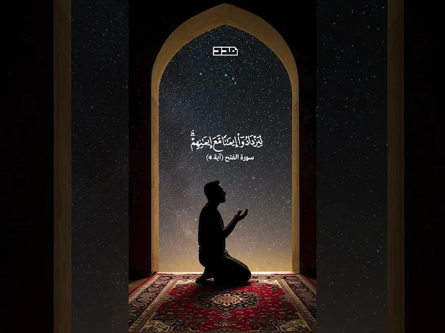 ⁣هو الذي أنزل السكينة🌸 #مدد #قرآن #سورة #آية #تلاوة