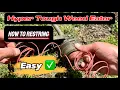 Hyper Tough Weed Eater how to restring the easy way