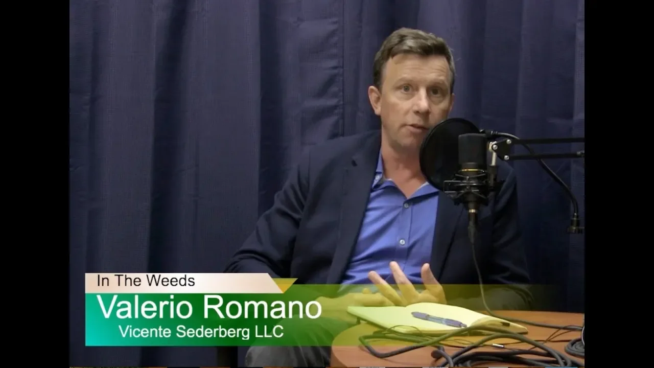 Valerio Romano attorney helped write the ballot question 4 in MA that legalized weed.