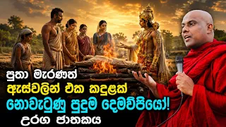 හරිම ලස්සන බණ කතාවක්! අනිවාර්යයෙන් හැමෝම අහන්න | galigamuwe gnanadeepa thero bana