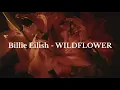 Download Lagu Billie Eilish - WILDFLOWER ( aesthetic lyrics video ) °❀