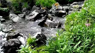 مشاهده للمونتاج صوت الماء  مشاهده للمونتاج صوت الماء