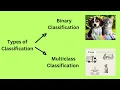 Classification Algorithm - Machine LEARNING