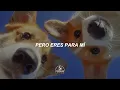 Eres Para Mí - Julieta Venegas ft. Ana Tijoux | Letra