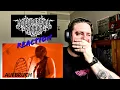 Download Lagu The Metal Hunter Reacts: Der Weg Einer Freiheit -Aufbruch (German Black Metal) [Emotional Reaction]