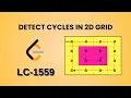 Detect Cycles in 2D Grid Leetcode 1559 Java Hindi