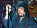 Israel Vibration   Back Stabba