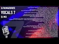 Vocals 7 : Vocal House & Garage 100% Vinyl Mix Series