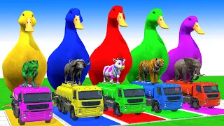 Cow Mammoth Elephant Tiger Sheep LION Guess The Right Key ESCAPE ROOM CHALLENGE Animals Tire Game