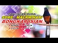 Lagu 🔴 LIVE 03 - Pancingan Murai Batu Pagi Hari Full Isian Tembakan Kasar Buat Murai macet bunyi