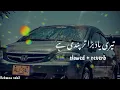 Lagu teri__yad_bara_tarpondi_he naseebo lal new song [slowed reverb]