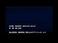 「塔の上のラプンツェル」輝く未来 I See The Light 因为我有你 中文版《中国語版日本語訳付き》