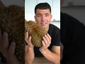 Download Lagu Tasting Durian