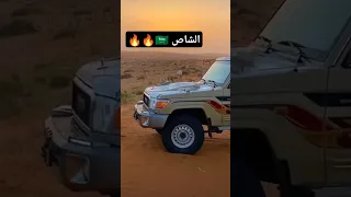 راعي الشاص تصميم شاص 