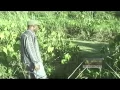 Download Lagu 1en1is3 Okoe mang nanga tap oekoe mang dvd5 Suriname