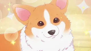 YouTube影片, 內容是殿と犬 的 前導影片