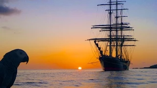 SPECTACULAR Sunset in Simpson Bay with our Hilarious Parrot “LUCKY”!  St Maarten, SXM, CARIBBEAN!
