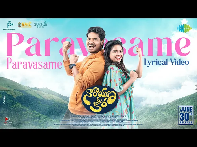 Paravasame Paravasame - Narayana & Co (Telugu song)