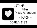 [INST/MR] Skrr (Feat. GISELLE) - HAON (김하온)