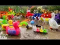 Download Lagu Wadidaw Dump Truk oleng warna warni angkut hewan lucu bebek angsa gorilla sapi kerbau gajah penguin