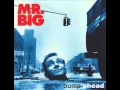 Download Lagu Mr. Big - Mr. Big