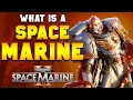SPACE MARINES EXPLAINED IN 20 MINUTES Warhammer 40 000 Lore