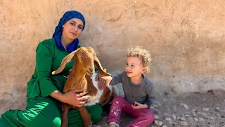 دخلت الجبال أبحث عن عشبة نادرة وشو اكتشفت  دخلت الجبال أبحث عن عشبة نادرة وشو اكتشفت