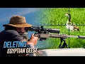 Lagu ERADICATING Pest Geese with Suppressed Rifles